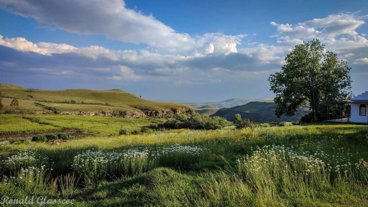 Green Lantern Inn Van Reenen Dış mekan fotoğraf